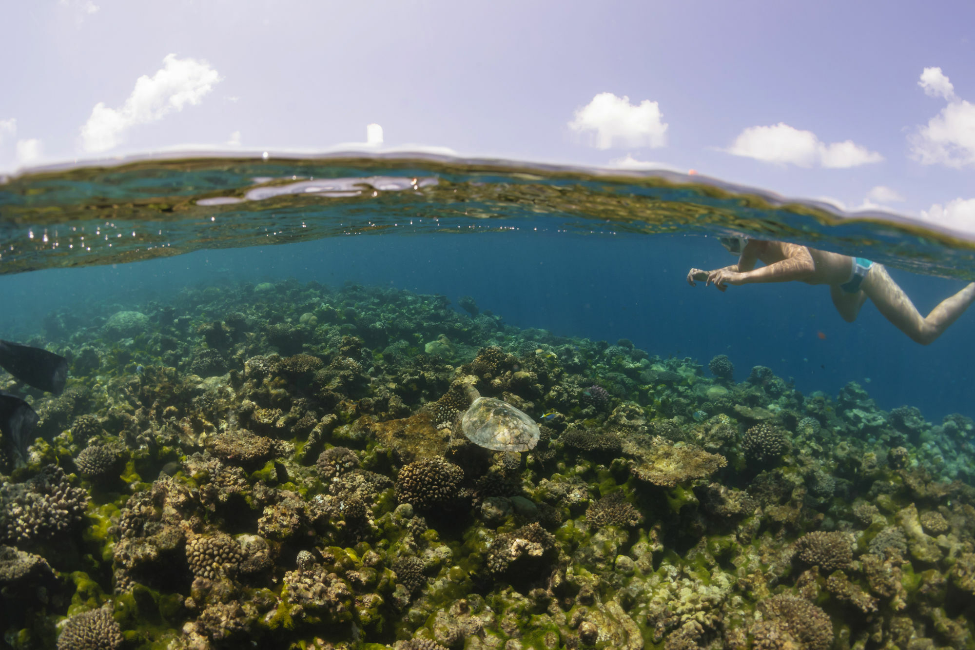 Royal Island Resort At Baa Atoll Biosphere Reserve Dharavandhoo Dış mekan fotoğraf